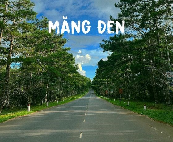 Tour Đà Nẵng- Măng Đen 2N1Đ