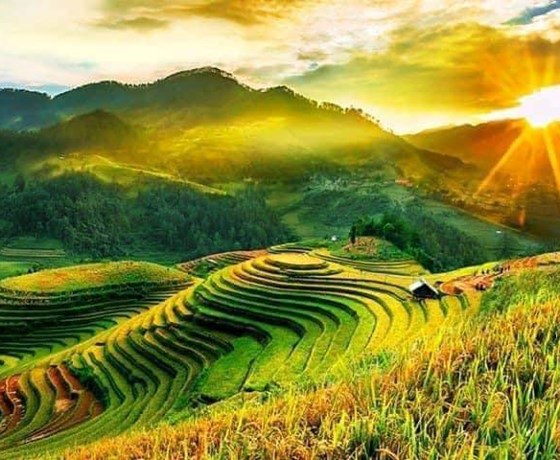 Tour Hà Nội - Mù Cang Chải - Cu Vai - Trạm Tấu 3N2Đ