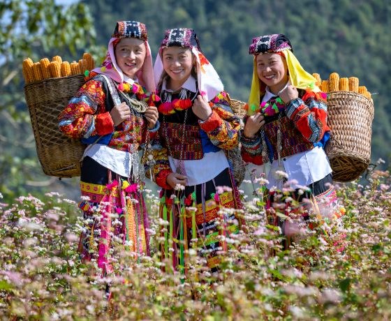 Tour Hà Nội - Hà Giang 3N2Đ