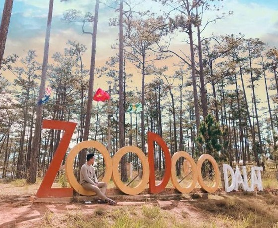 Tour Tham Quan Sở Thú ZooDoo Đà Lạt