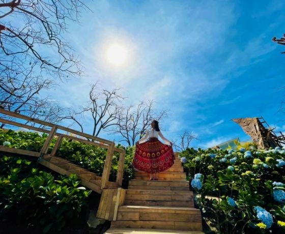 Tour Khám Phá Địa Điểm Mới Đà Lạt 2023