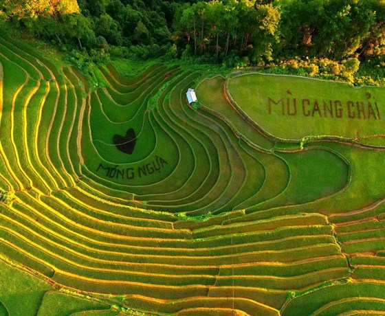 Tour Hồ Chí Minh - Mù Cang Chải 4N3Đ