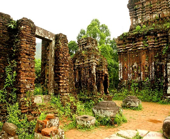 Tham Quan Mỹ Sơn 1 Ngày