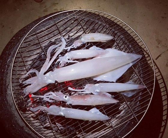 Tour Câu Mực Đêm Quy Nhơn 1 Ngày