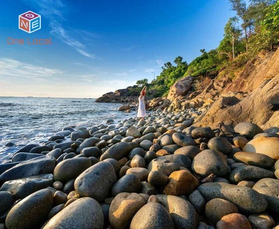 Tour Đà Nẵng - Quy Nhơn - Phú Yên 4 Ngày 3 Đêm