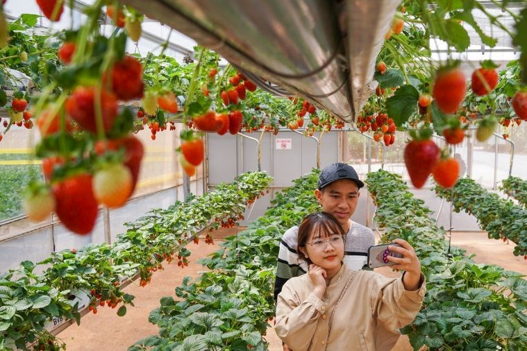 Tour Chinh Phục Đỉnh LangBiang - Thác DaTanLa - Crazy House