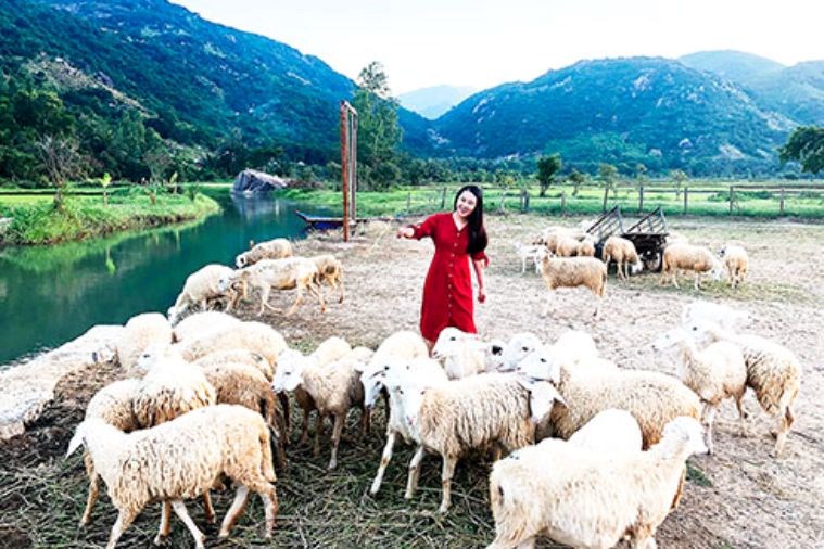 Tour Hang Rái - Vĩnh Hy - Vườn Nho Nha Trang 1 Ngày