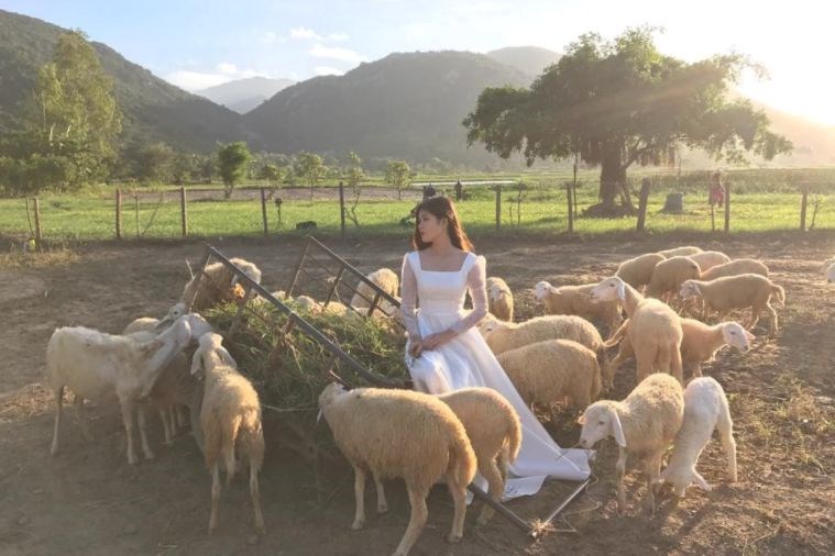 Tour Hang Rái - Vĩnh Hy - Vườn Nho Nha Trang 1 Ngày