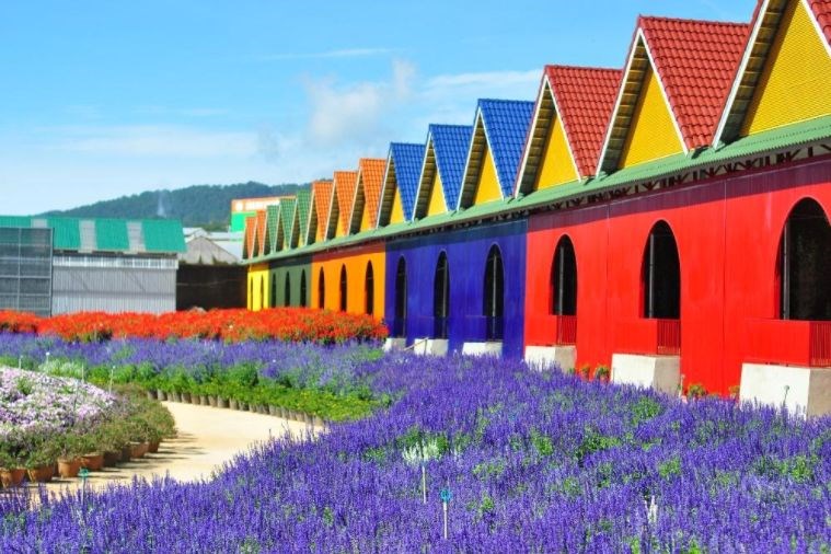 Tour Tham Quan Sở Thú ZooDoo Đà Lạt