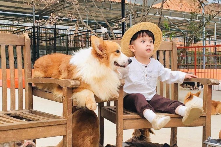 Tour Tham Quan Sở Thú ZooDoo Đà Lạt