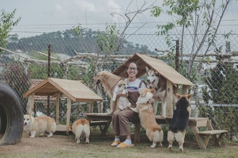 Tour Tham Quan Sở Thú ZooDoo Đà Lạt