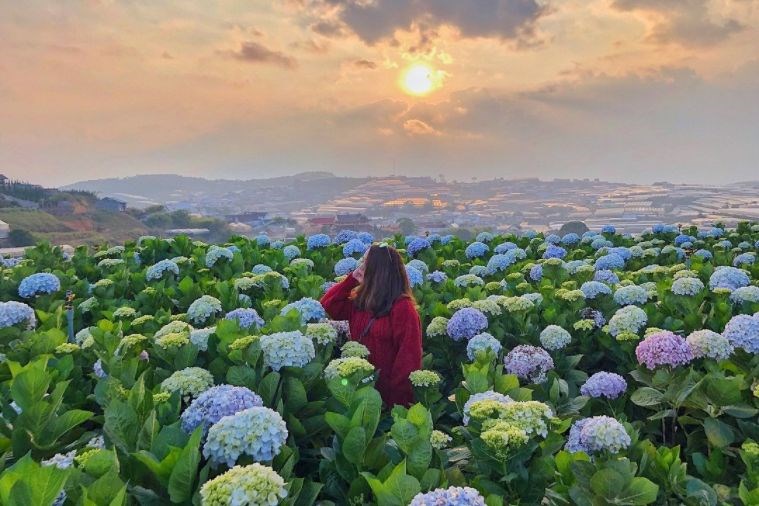 Tour Tham Quan Sở Thú ZooDoo Đà Lạt