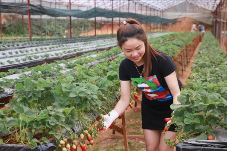 Tour Tham Quan Sở Thú ZooDoo Đà Lạt