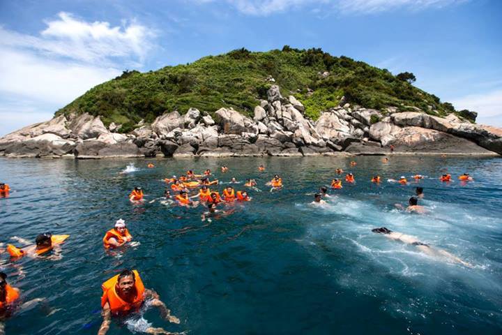 Đặt Tour Cù Lao Chàm: Khi Nào Tàu Chạy, Khi Nào Hoãn & Kế Hoạch Dự Phòng Hoàn Hảo